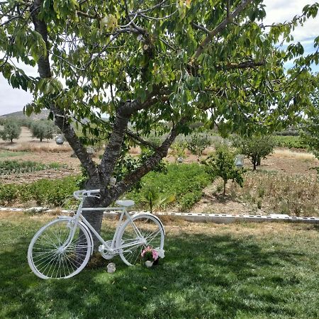 Casa Rural Huerta Los Canos Bienvenida Ngoại thất bức ảnh